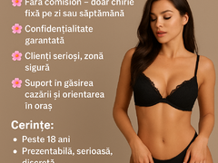 Locatie foarte buna in Berlin si bani de buzunar zilnic, domni generosi